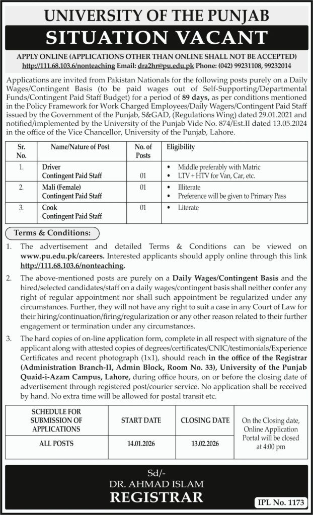 University Of The Punjab PU Jobs 2026