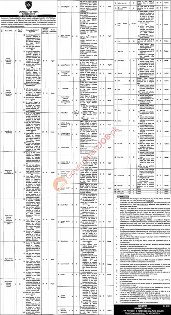 University of Rasul, Mandi Bahauddin Job Advertisement