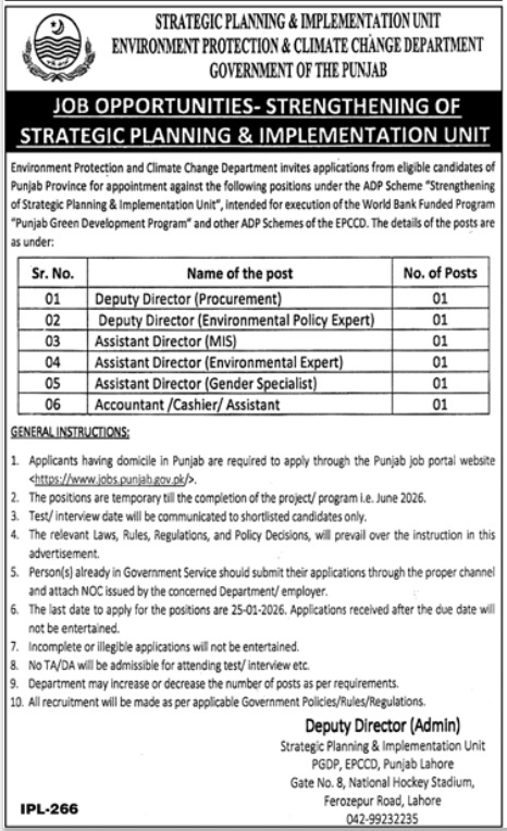Assistant Director Gender Specialist Jobs Punjab