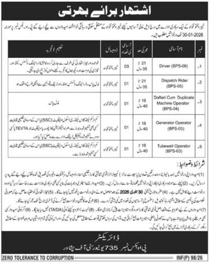 University of Peshawar Jobs 2026