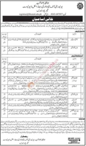 Benazir Bhutto Shaheed University of Technology & Skill Development Jobs 2026