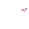 Pakistan Institute of Fashion and Design