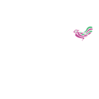 Pakistan Institute of Fashion and Design