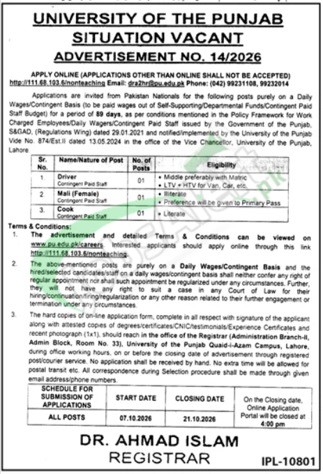 University of Punjab Jobs 2026 Advertisement