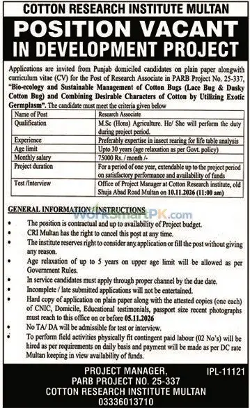Central Cotton Research Institute Multan Jobs 2026 Advertisement