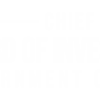 Balochistan Board of Investment & Trade