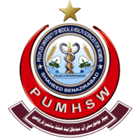 People's University of Medical & Health Sciences for Women (PUMHSW)
